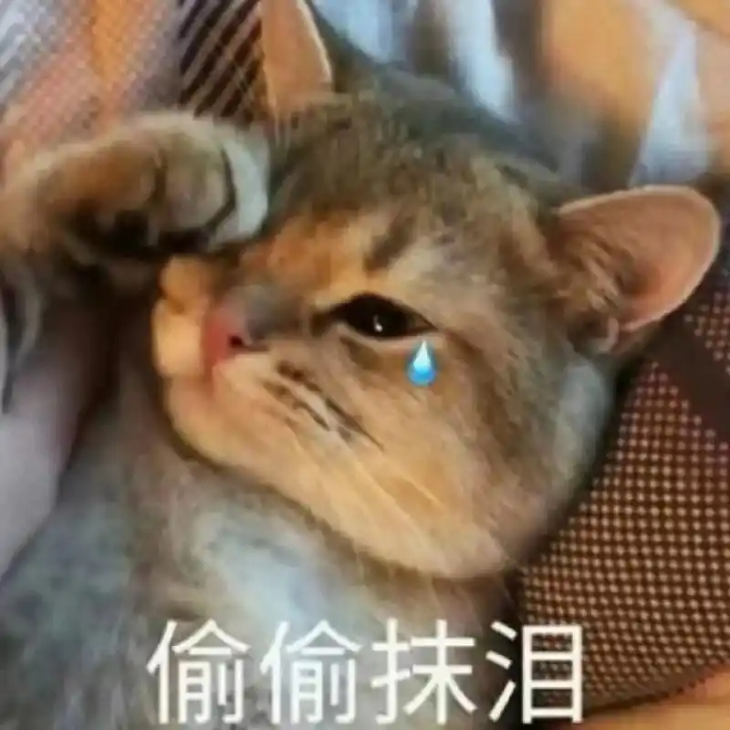 就这样吧,让我偷偷抹泪就好了#表情包 - 抖音