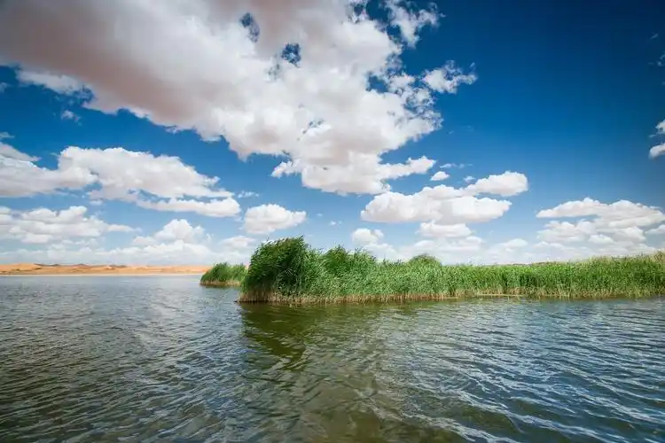 阿拉善左旗腾格里沙漠外星球营地攻略-腾格里沙漠外星球营地门票价格