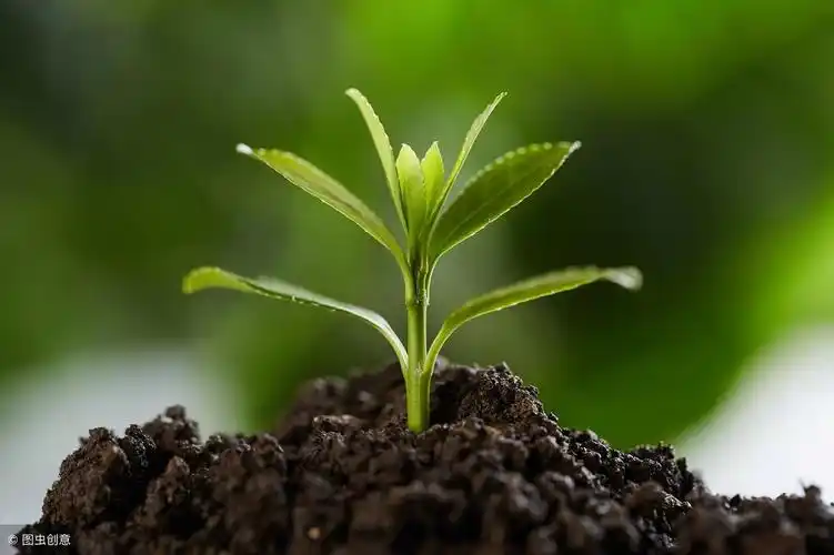 抖音生僻字歌词带拼音(最近抖音火的生僻字读音)