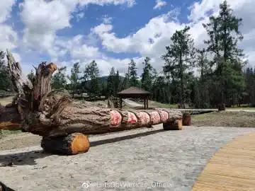 letsgowarriors_official