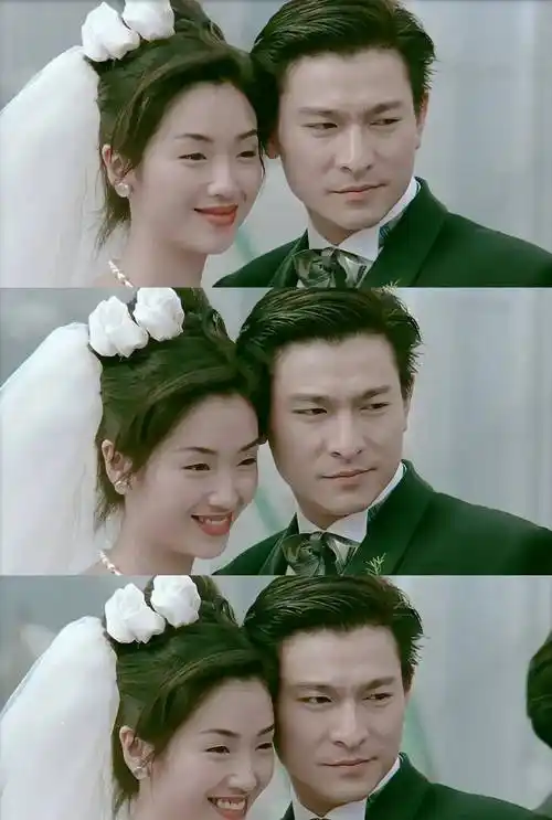 刘德华参演的全部电影-第83部《大冒险家》_关之琳_合作_吴倩莲