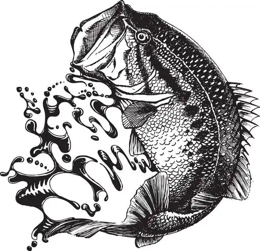 1kb 分辨率:    dpi 方式: 集图网 矢量素材 生活百科 餐饮美食 >