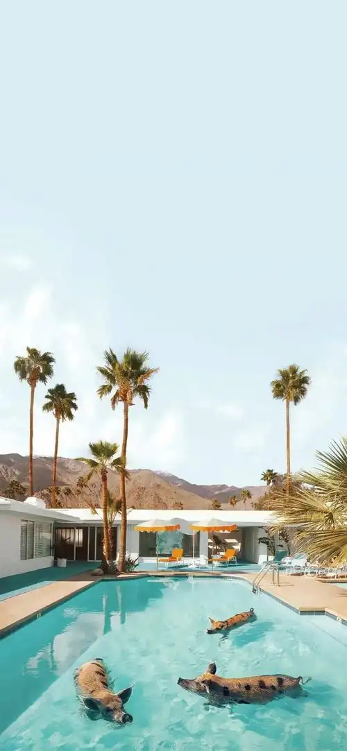 手机壁纸高清 | 抖音壁纸潮图