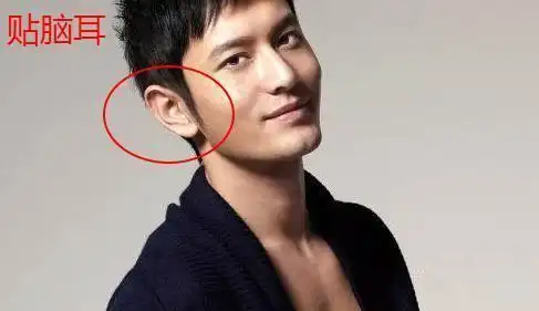几种奇特形态的耳朵,有着怎样不同于常人的命运?