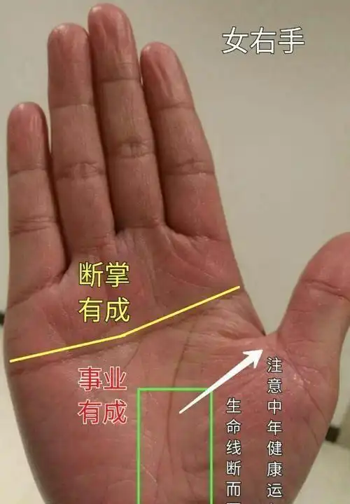 其实女人右手手相图解大全,下面就一起来看看掌纹解析,女,右手,希望