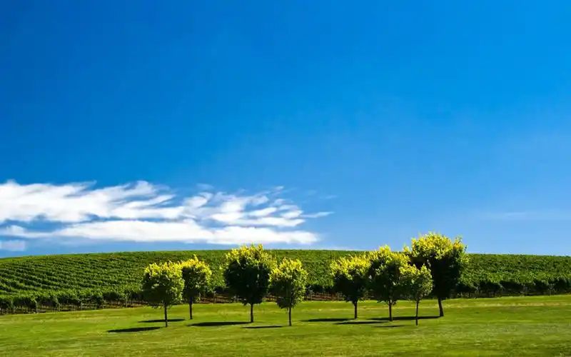 旅游,放松心情,用眼睛享受风景.