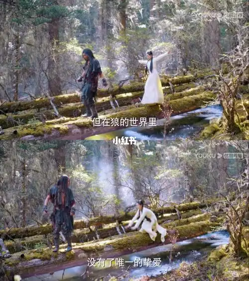 狼殿下这结局是要亡我