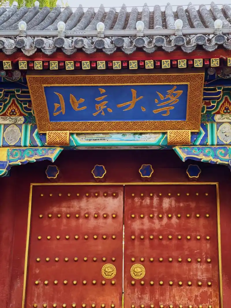 北京大学|走进校园便是无名的福气 北大中文系教授戴锦华在《北大师说