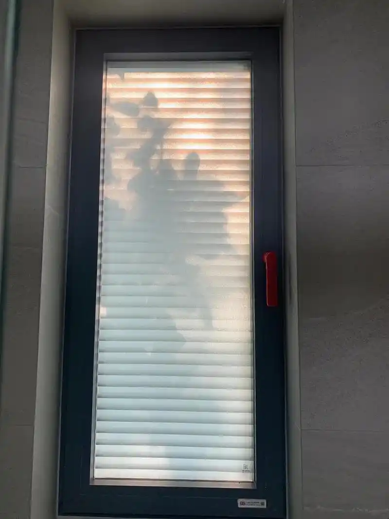 光影.客卫的窗是朝西的,下午两点以后,上厕所就能欣赏这样的美 - 抖音