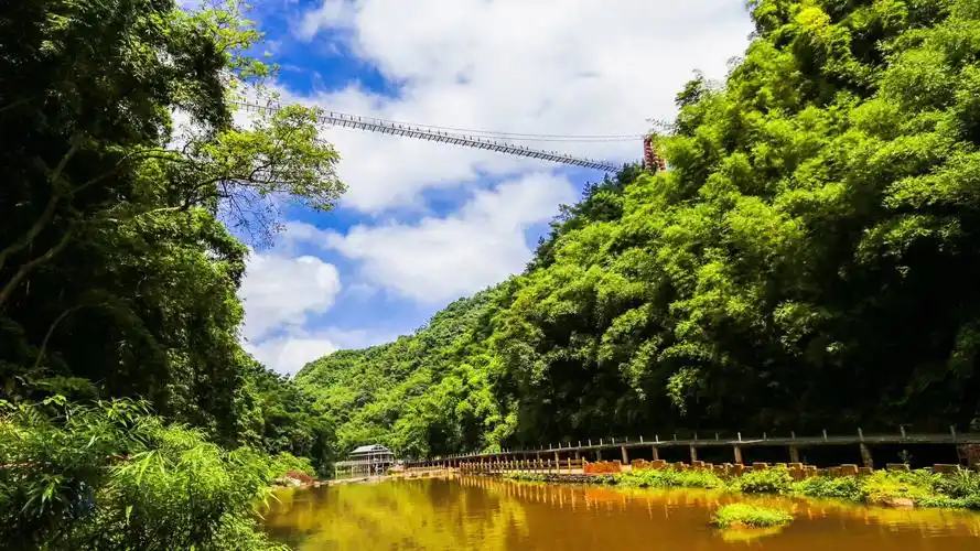 是国家aaaa级旅游景区,全国重点文物保护单位,全国森林康养基地和省级