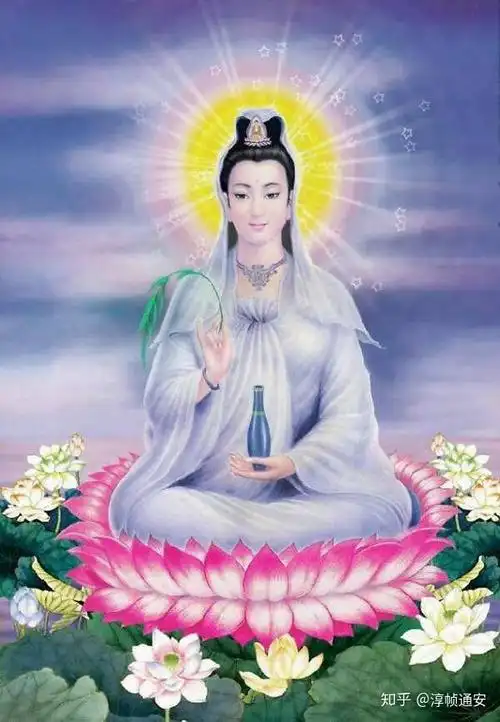 那么,佛家为何会选择莲花作为佛花呢?