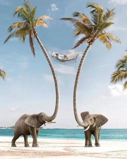 这组图片太有意思啦!