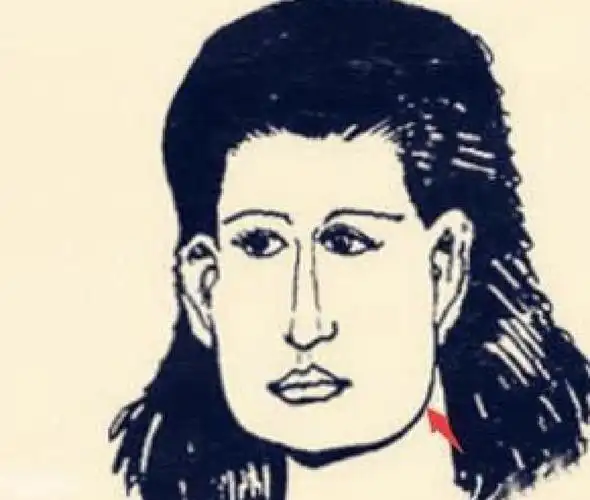 所谓风字面指的是脸型上窄下宽,腮骨部位往外突出明显,在相学中也称作