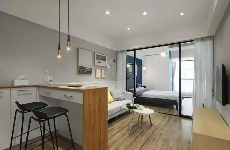 一居室小户型装修餐客卧布局图