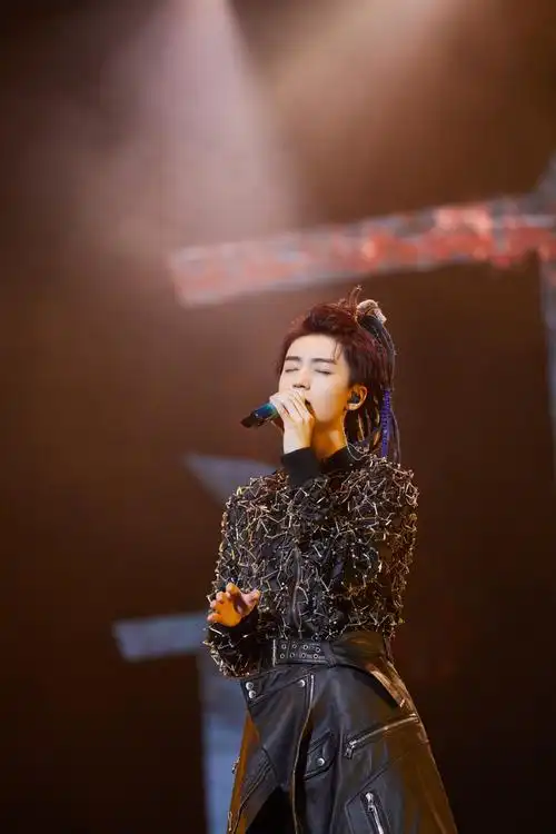 简介:王俊凯脏辫造型演唱会写真图片,分享一组王俊凯图片给大家,图中