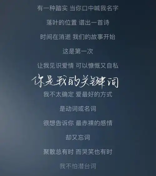 网易云手写歌词