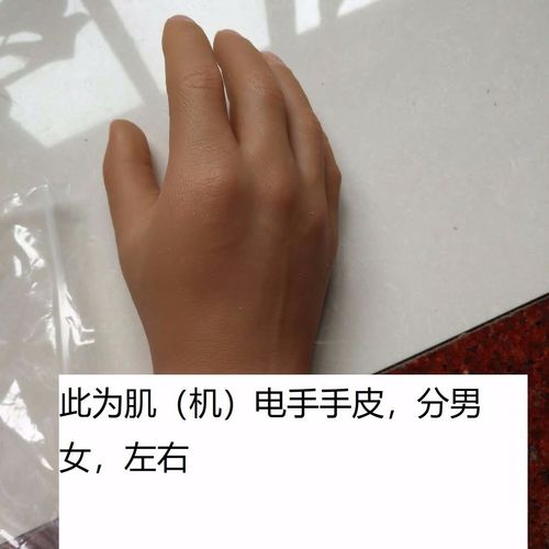 前臂上臂 假肢硅胶肌电手皮机电手皮 功能手美容手假肢手仿生手皮【10