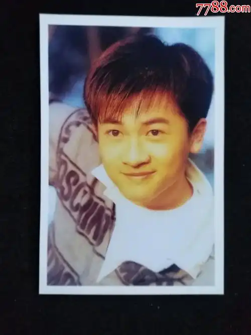 苏有朋,明星照早期