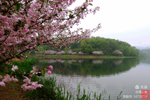 践行绿色生态教育理念,知行合一感恩自然,国画山水人物花鸟意境写诗