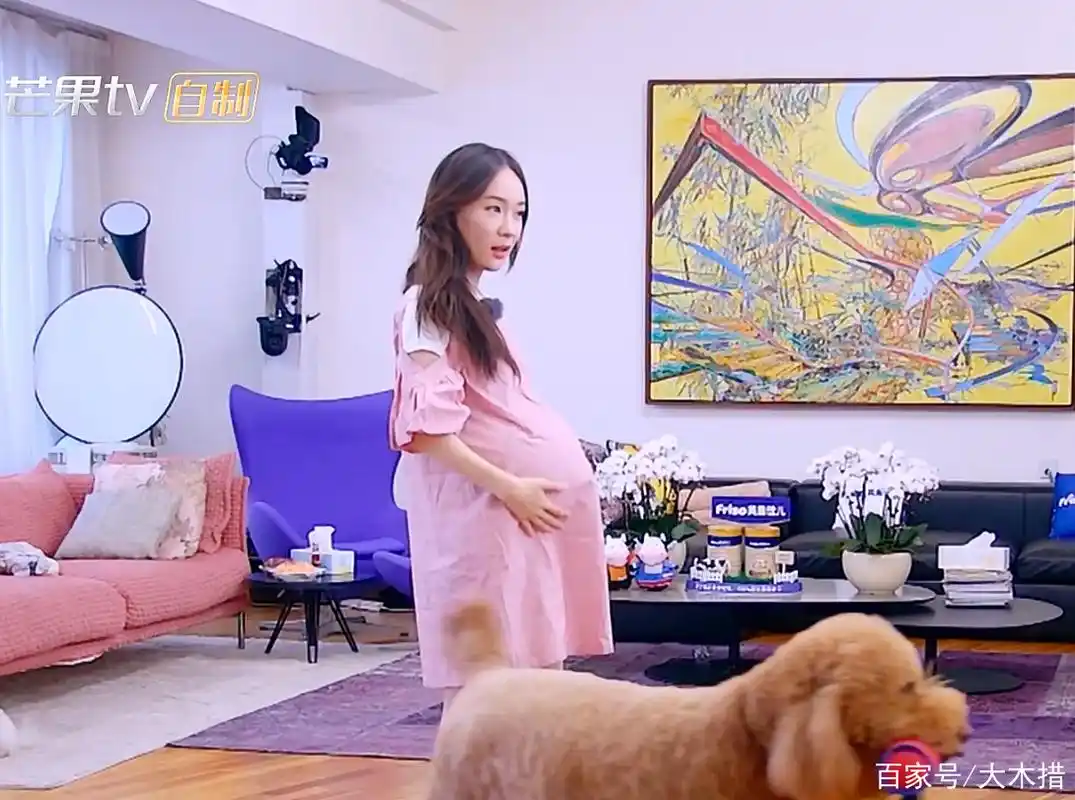 霍思燕已怀二胎?嗯哼两个字还你真相!