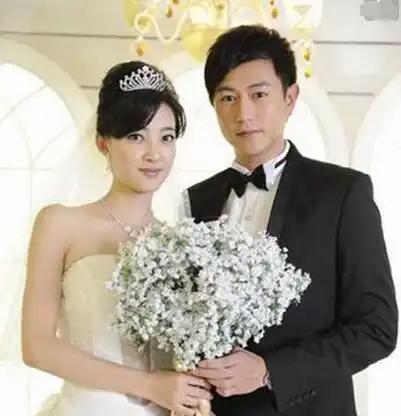 【图】陈键锋王丽坤结婚照揭露 两人的感情很好