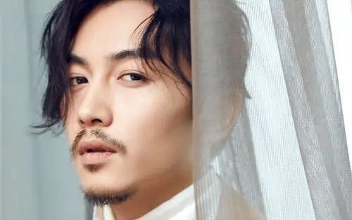 陈晓帅气时尚壁纸_那年花开月正圆沈星移