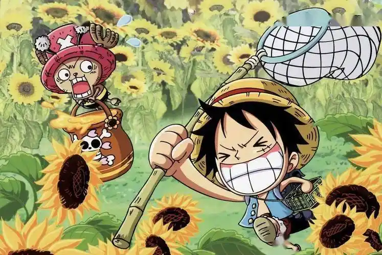 海贼王高清电脑壁纸