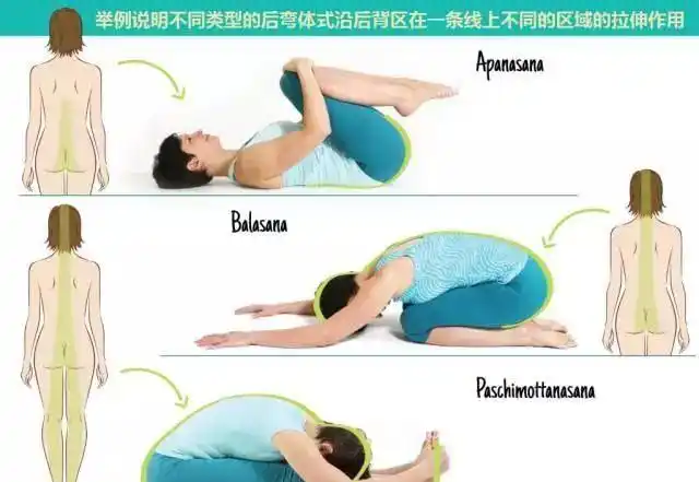 3个经典的下背部拉伸练习缓解腰部不适保养脊柱躺着就能练