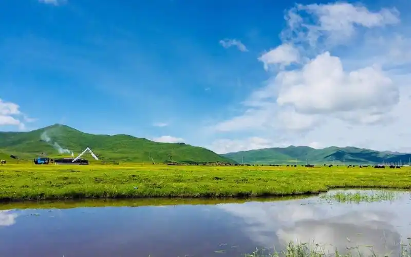 唯美护眼绿色草原风景,高清图片,电脑桌面-壁纸族