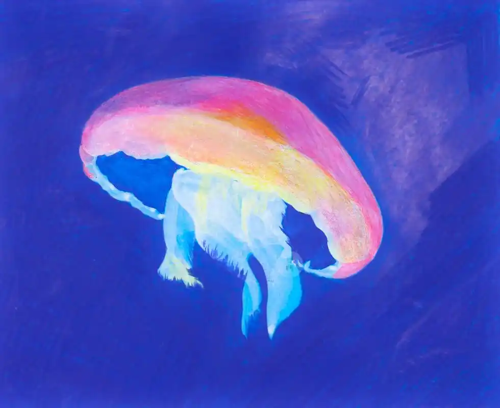 彩铅 水母系列 合集