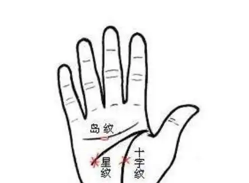 有此纹路者,善于理论性的思考,对于成功率很低的竞赛,基本上绝不参与