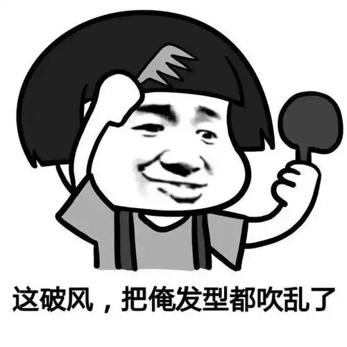 这破风,把俺发型都吹乱了
