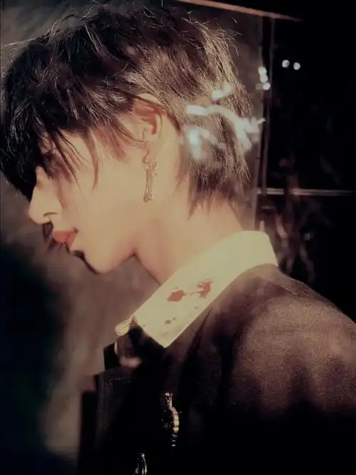 贺峻霖丨病娇少爷