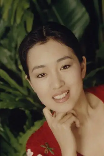 一组巩俐1992年大红灯笼高高挂时期的红衣照