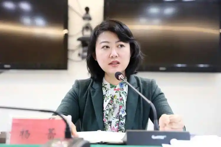 杨蕾启动红队策略用批判性思维去审查纠偏