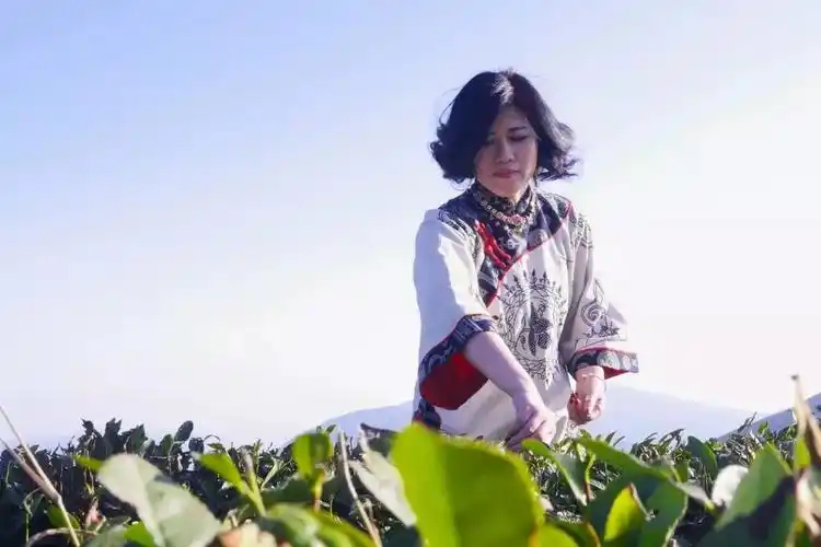 温州人她带出1000位百万富翁手握4000多家店