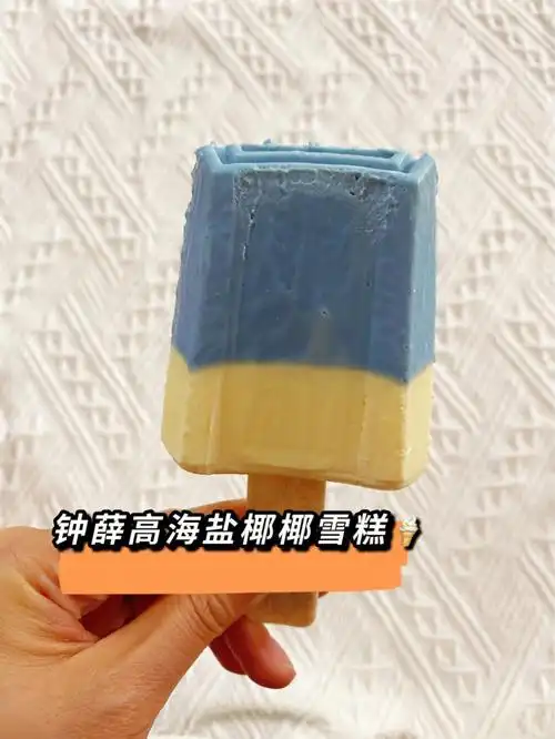 网红雪糕钟薛高海盐椰子冰淇淋