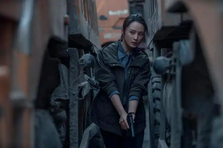 (迷雾追踪)剧评