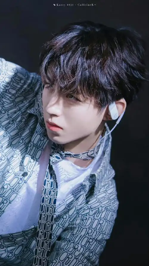 王俊凯推荐刘昊然来盒子里的猫