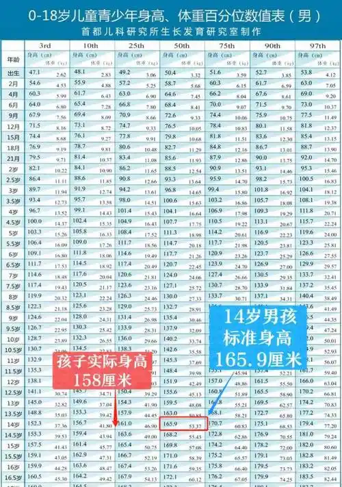14岁男孩,身高158,错过最后1个黄金生长期,太遗憾再也长不高了