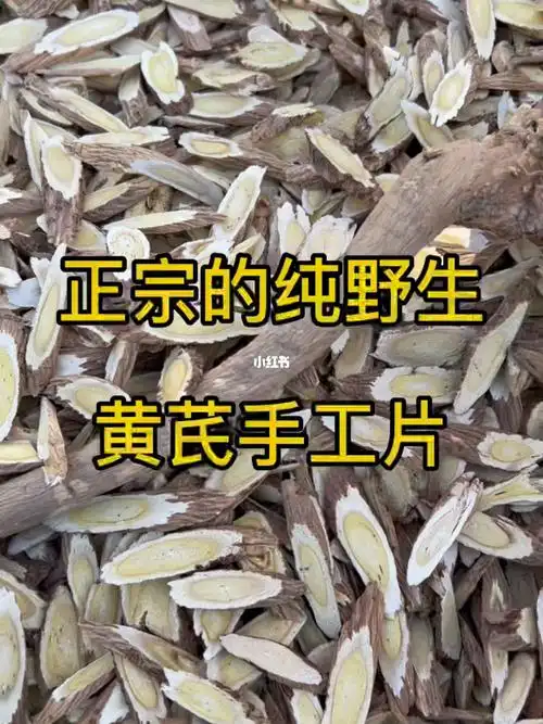 今天教你一招怎样辨别真的野生黄芪别眨眼