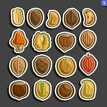 简约,抽象,标签,水果,隔绝,黑色背景,背景,卡通,简单,不干胶,坚果壳