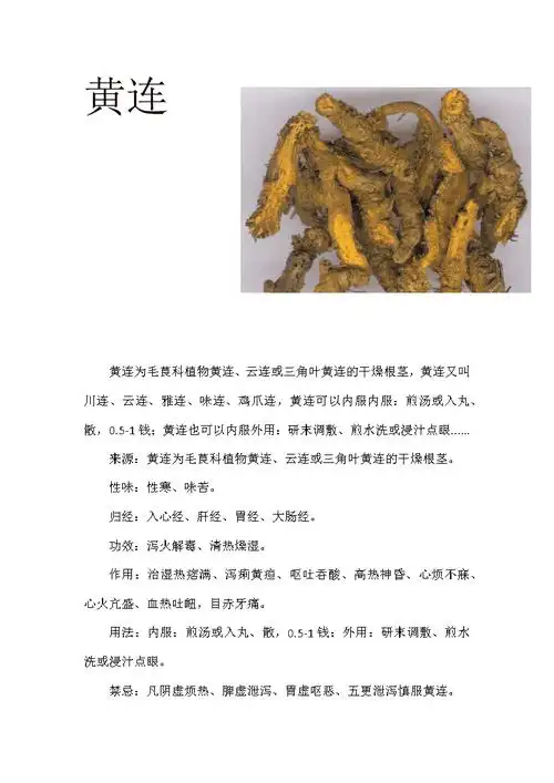 黄连的作用与功效