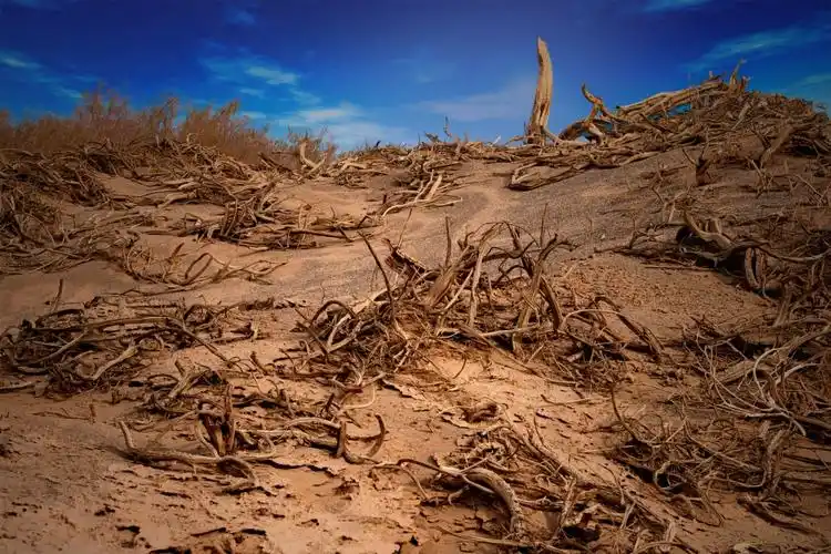 探寻罗布泊,勇闯无人区