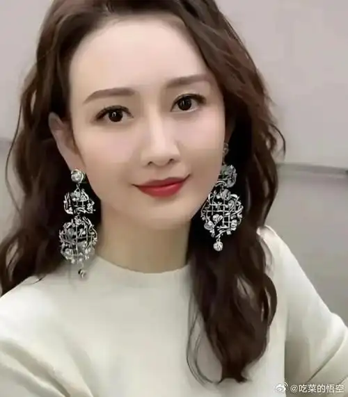 王鸥与何九华之间的感情纠纷,就像一部没有结局的电视剧,让人不停地