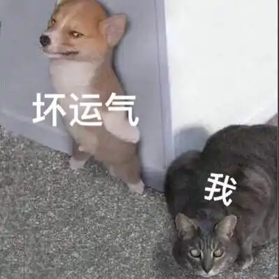 还可以啦表情包 - 凡是颜艺在线的,最终都会走上表情包这条不归路