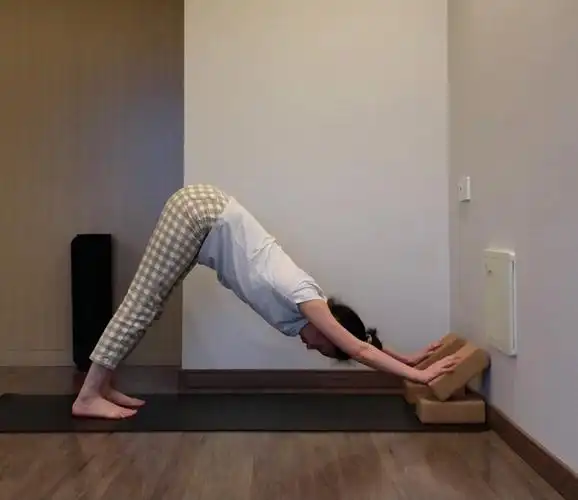 稳定躯干伸展背部