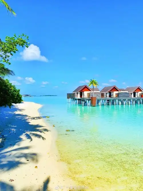 的老照片,我发现自己真的好爱去海边呀～16年芽庄的海,17年巴厘岛的海