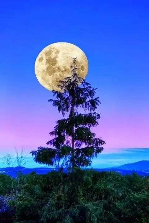 这里有全球最美的月亮集锦