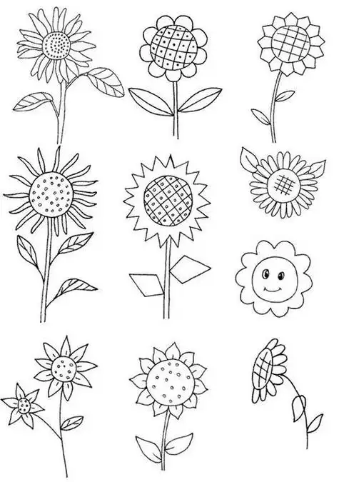 向日葵怎么画简笔画图解向日葵一年生草本高13米茎直立卡通花朵简笔画